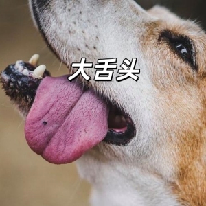 大舌头-钢琴谱