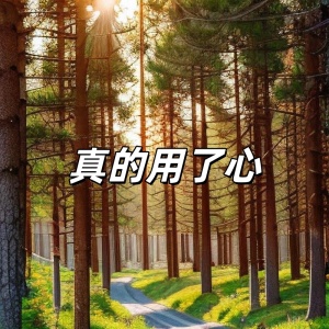 真的用了心(DJ90版)-钢琴谱