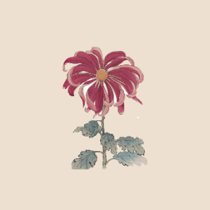 像个笨蛋一样 - 初音ミク-钢琴谱