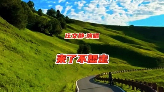 来了不想走-钢琴谱