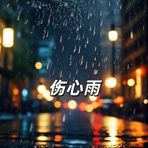 伤心雨-钢琴谱