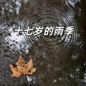 十七岁的雨季-钢琴谱