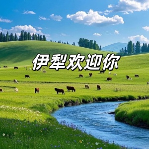 伊犁欢迎你-钢琴谱
