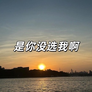 是你没选我啊-钢琴谱