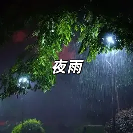 夜雨-钢琴谱