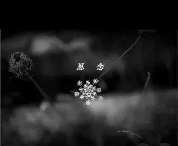 思念(二重奏)-钢琴谱