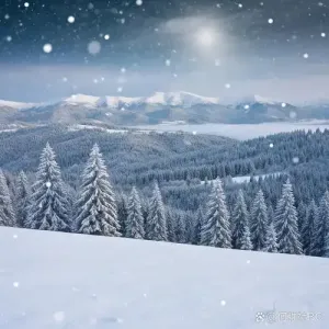 雪落无声-钢琴谱