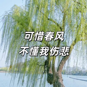 可惜春风不懂我伤悲-钢琴谱