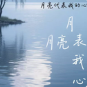 月亮代表我的心钢琴简谱 数字双手 孙仪