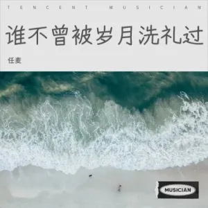 谁不曾被岁月洗礼过-钢琴谱