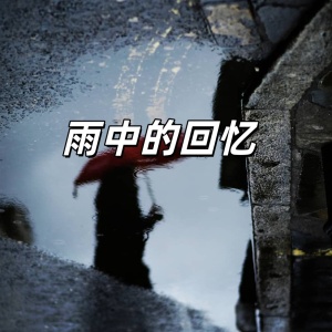 雨中的回忆-钢琴谱
