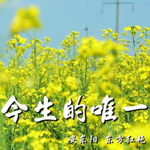 今生的唯一-钢琴谱