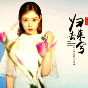 归去来兮-钢琴谱