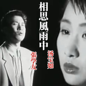 相思风雨中-张学友、汤宝如 C调独奏-钢琴谱