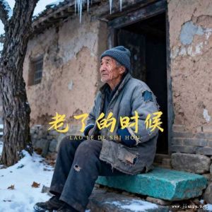 老了的时候-钢琴谱