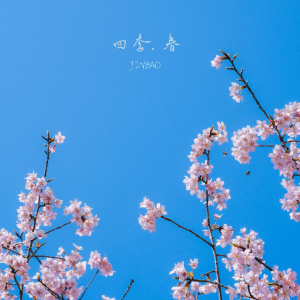雨·西湖 - JINBAO-钢琴谱