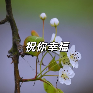 祝你幸福(管乐合奏)-钢琴谱