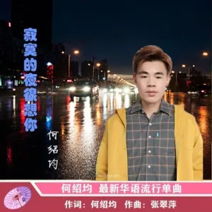 寂寞的夜很想你-钢琴谱