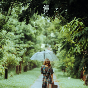 停在那边-钢琴谱