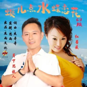 蜓儿点水蝶恋花(DJ对唱版)-钢琴谱