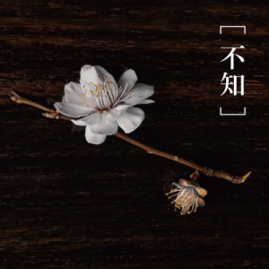 2moro-钢琴谱