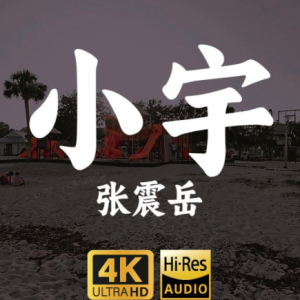 小宇-张震岳 G调独奏-钢琴谱