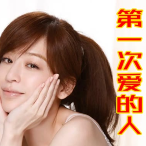 第一次爱的人钢琴简谱 数字双手
