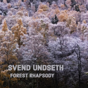 Forest Rhapsody钢琴谱