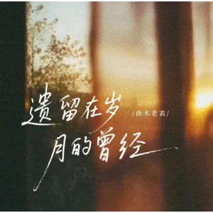 遗留在岁月的曾经 曲木老表  C调简易版-钢琴谱