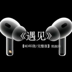 遇见钢琴简谱 数字双手