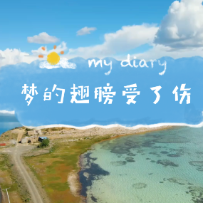 梦的翅膀受了伤  简易版 蒋雪儿 抖音流行歌曲-钢琴谱