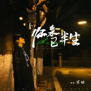 归来已半生-钢琴谱