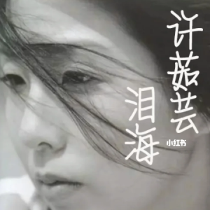 泪海-许茹芸 C调独奏-钢琴谱