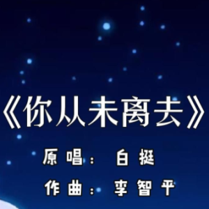 你从未离去钢琴简谱 数字双手
