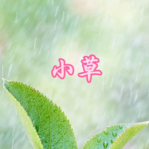 小草钢琴简谱 数字双手
