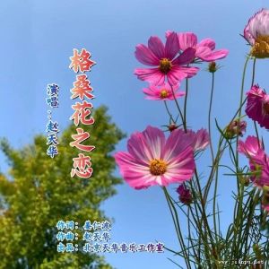 格桑花之恋-钢琴谱
