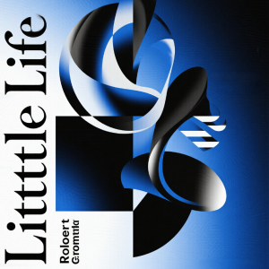 Little Life钢琴谱