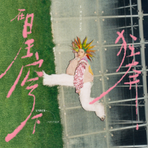 雪崩钢琴简谱 数字双手 王源