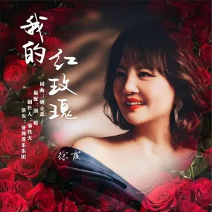 我的红玫瑰-钢琴谱
