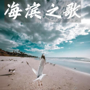 海滨之歌 原调简易版 流行经典-钢琴谱