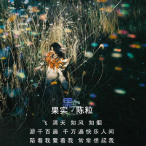 果实 C调简易版 陈粒-钢琴谱