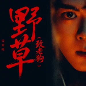 野草（致老狗） (吴老狗角色曲) - 曾舜晞 C调-钢琴谱