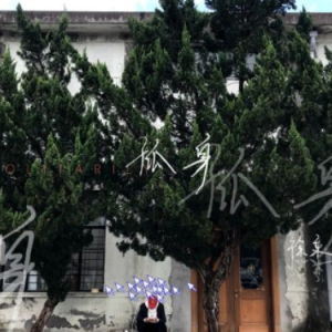 孤身钢琴简谱 数字双手 徐秉龙