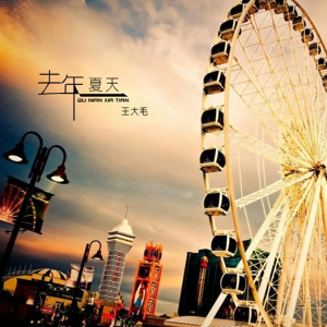 那年夏天-钢琴谱