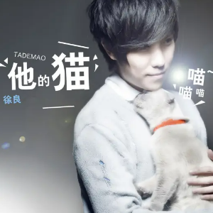 他的猫-C调简单版-钢琴谱