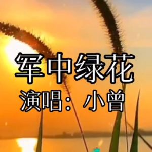 军中绿花钢琴简谱 数字双手