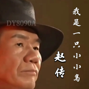 我是一只小小鸟钢琴简谱 数字双手