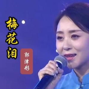 梅花泪钢琴简谱 数字双手