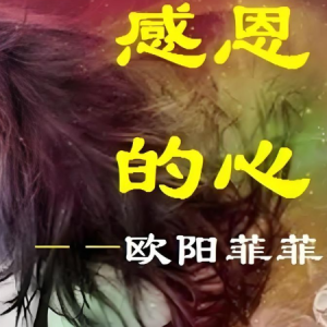 感恩的心-欧阳菲菲 F调独奏-钢琴谱