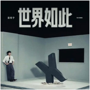 「世界如此」田栩宁 完美还原 D 小调-钢琴谱